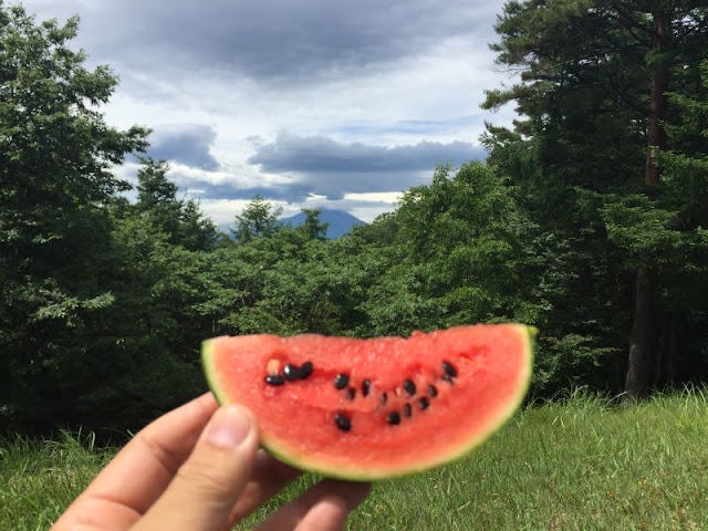 扇山山頂のスイカ