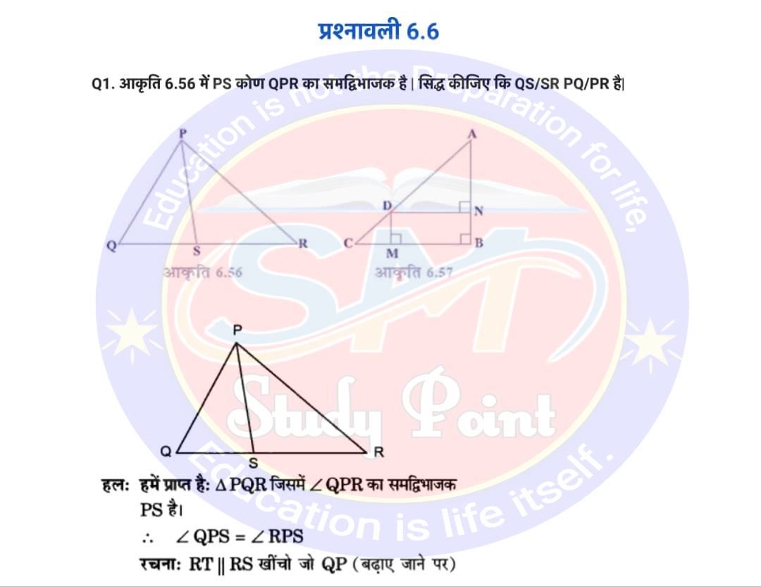 Bihar Board NCERT Math Solutio'n of Triangle | Class 10th Math Exercise 6.6 | त्रिभुज सभी प्रश्नों के उत्तर | प्रश्नावली 6.6 | SM Study Point