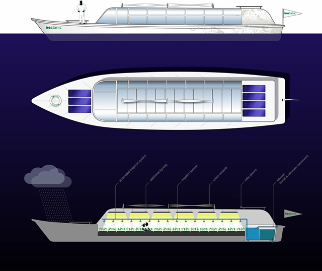 Boatanic: o novo barco do amor