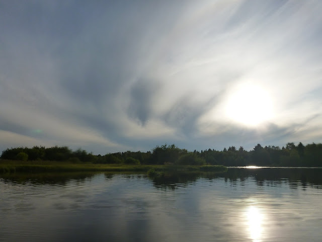 Metsäisiä saaria ja tyyntä jokisuistoa