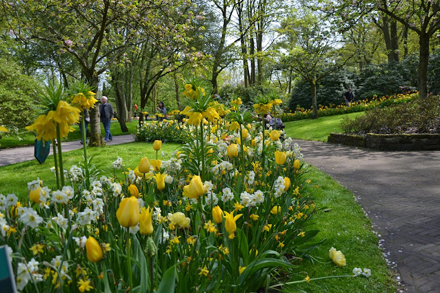 Holandia – tulipanowy raj czyli ogród Keukenhof