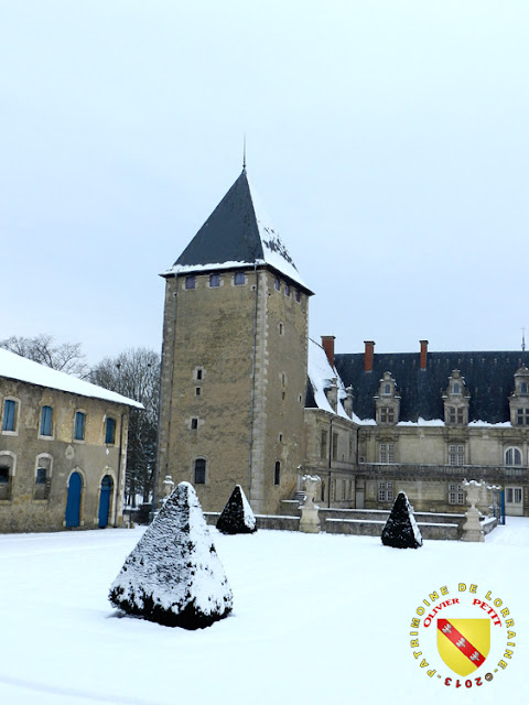 Fléville-les-Nancy - Château enneigé