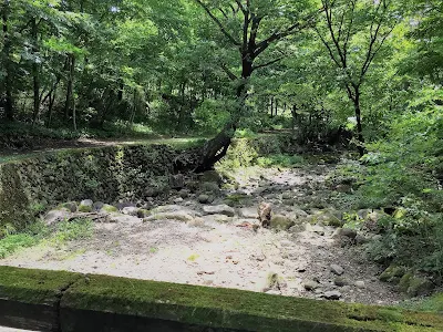 栃木県民の森BBQ広場