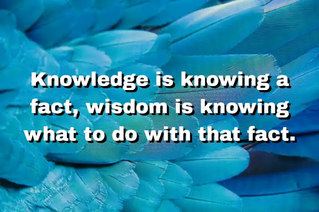 "Knowledge is knowing a fact, wisdom is knowing what to do with that fact." ~ B. J. Palmer