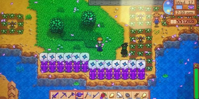 Cara Mendapatkan Cincin Iridium di Stardew Valley