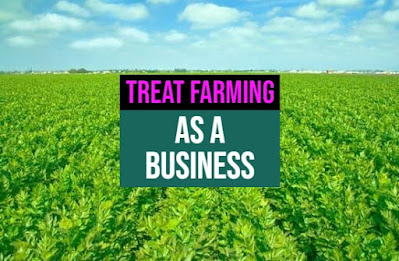 Farming as a business
