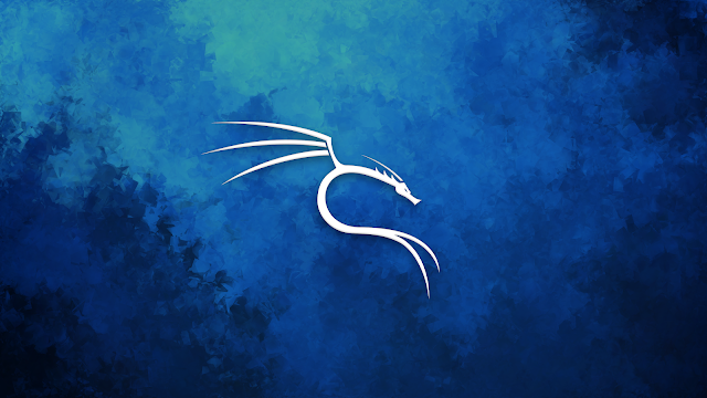 كيفية تثبيث Kali Linux داخل USB