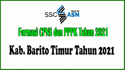 Alokasi Formasi CPNS dan PPPK KAB. BARITO TIMUR Tahun 2021