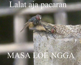 kumpulan meme lucu dan gokil bikin ngakak 9