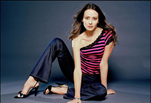 Amy Acker HD Wallpapers Free Download