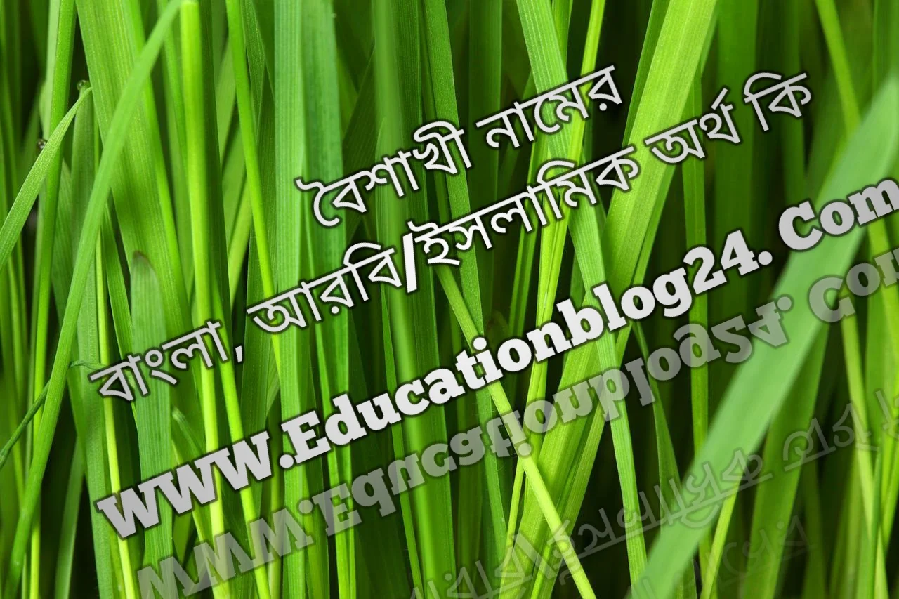 Boishaki name meaning in Bengali, বৈশাখী নামের অর্থ কি, বৈশাখী নামের বাংলা অর্থ কি, বৈশাখী নামের ইসলামিক অর্থ কি, বৈশাখী কি ইসলামিক /আরবি নাম