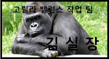 내 사진