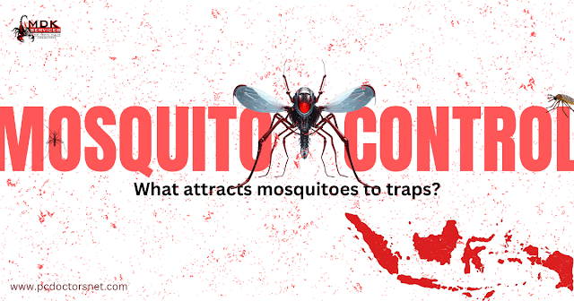 mosquito trap blog image