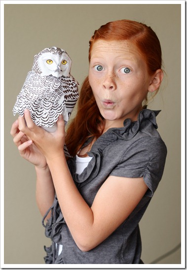 Owl