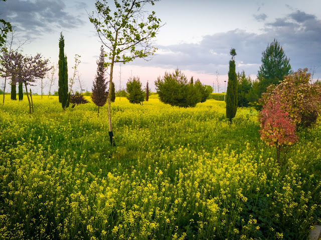 La primavera irrumpe con fuerza y nos llena de color