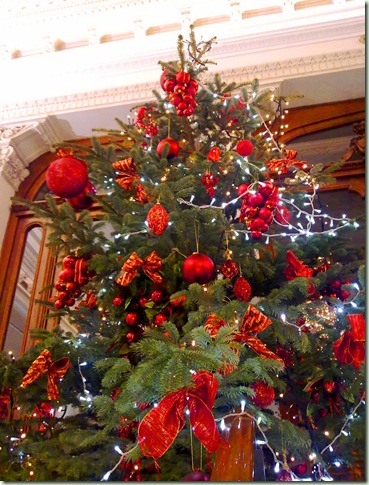 Color de Navidad- Chop