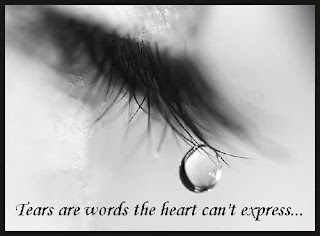 The crying eye : Tears are words the heart cant express - photoforu.blogspot.com
