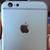 Busted: Foxconn worker detained for allegedly leaking the iPhone 6