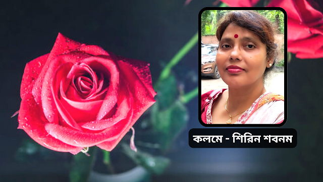 শতখন্ডে প্রতিচ্ছবি - শিরিন শবনম।।BDNews.in