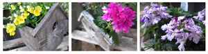 Planter