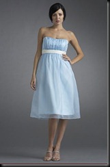 blue bridesmaid dresses - blue bridesmaid dresses picture