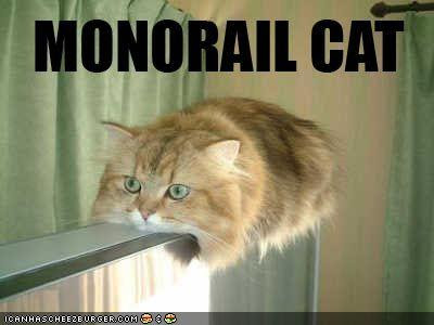 Lolcat Lolcatz Lowlcaz wallpaper funny_pictures_monorail_cat1_Lolcatz