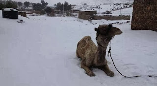 Hujan Salju Di Mesir