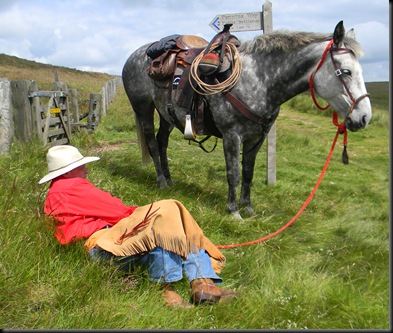 cheviots 2011 025