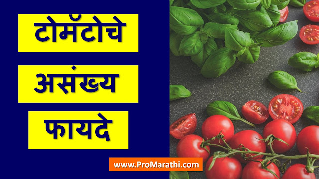 Tomato Benefits in Marathi