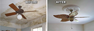 Summerlin Water Damage Repair Company in Vegas