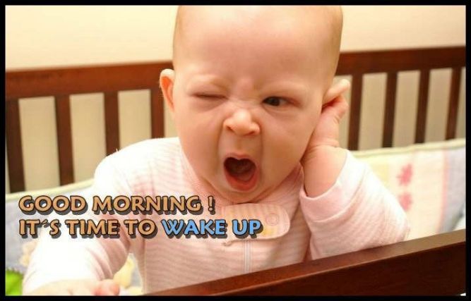 31 Funny Good Morning Memes, Quotes, Wishes, Messages & More