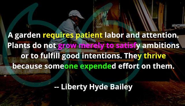 Quotes on labors