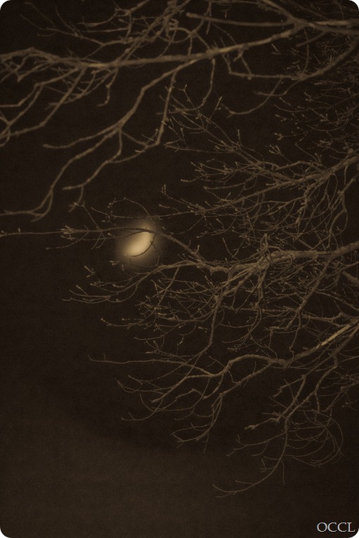 Foggy Moon (1 of 1)-2