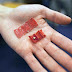 Swallow This Robot: Foldable Droid Could Mend Stomachs