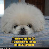 Funny Dog Groomer Quotes