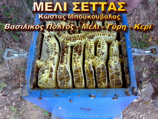 ΜΕΛΙ ΣΕΤΤΑΣ