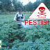 Bijaksana Dalam Menggunakn Pestisida