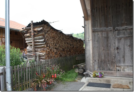 day 5 Niederstocken more stacked wood