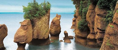 Bay of Fundy, canada, teluk fundy