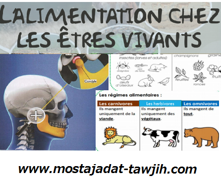 درس L’alimentation chez les êtres vivants للسنة الأولى إعدادي