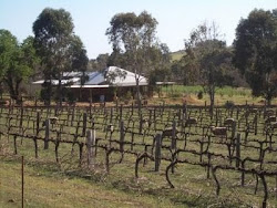 The Cellar Door & Cafe