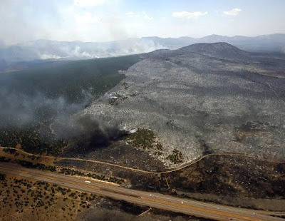 forest fire in USA