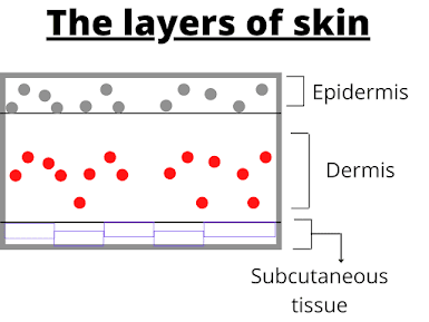 homeostasis o level