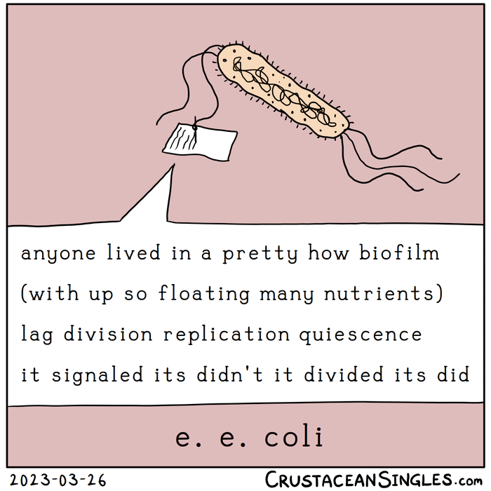 Pictured:  a single rod-shaped bacterium holds a pen in one of its flagella and writes on a sheet of paper, with the words of the in-progress poem magnified for the reader: "anyone lived in a pretty how biofilm / (with up so floating many nutrients) / lag division replication quiescence / it signaled its didn't it divided its did". The bottom caption is the author's name: "e. e. coli".