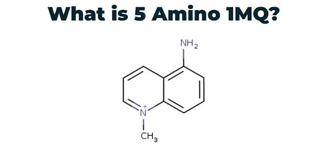 5 amino 1mq nnmt inhibitors metabolic disorders solution