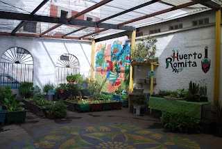 Huerto Romita, an urban agriculture project in Mexico City.