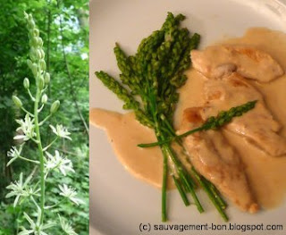 Blancs de poulet en crème aux asperges bes bois