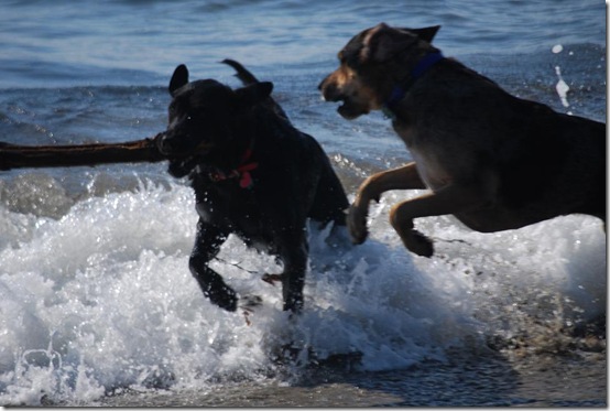 in the waves RS