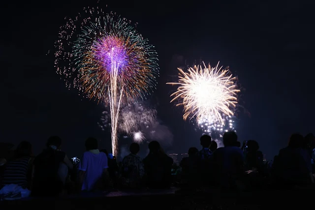夜空を彩る花火～第27回東京湾大華火祭