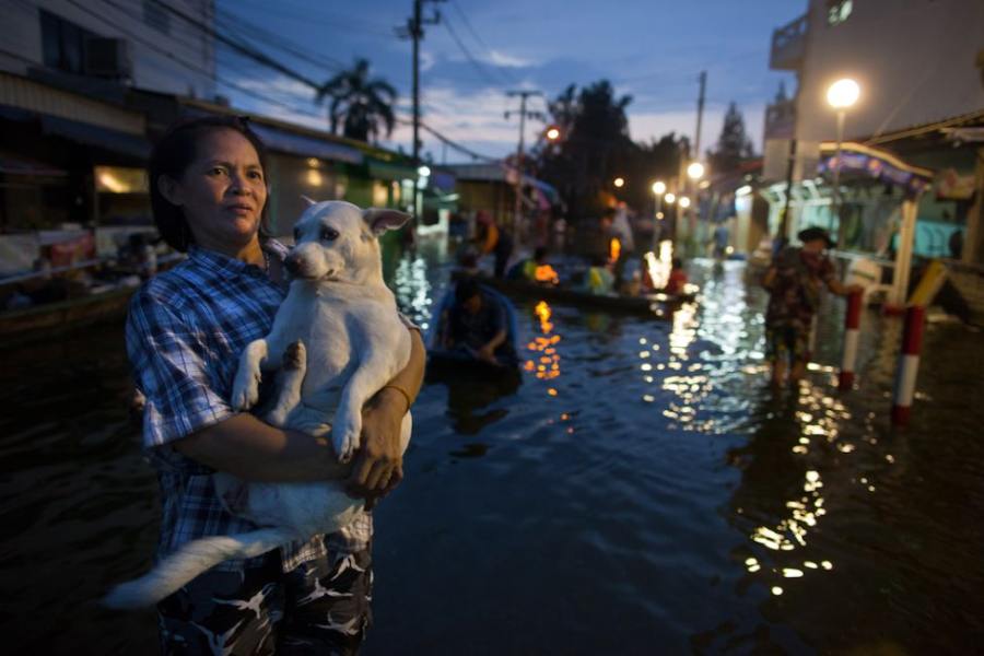  Kentut  Cool Orang  Thailand Sayangkan Binatang 12 Gambar  